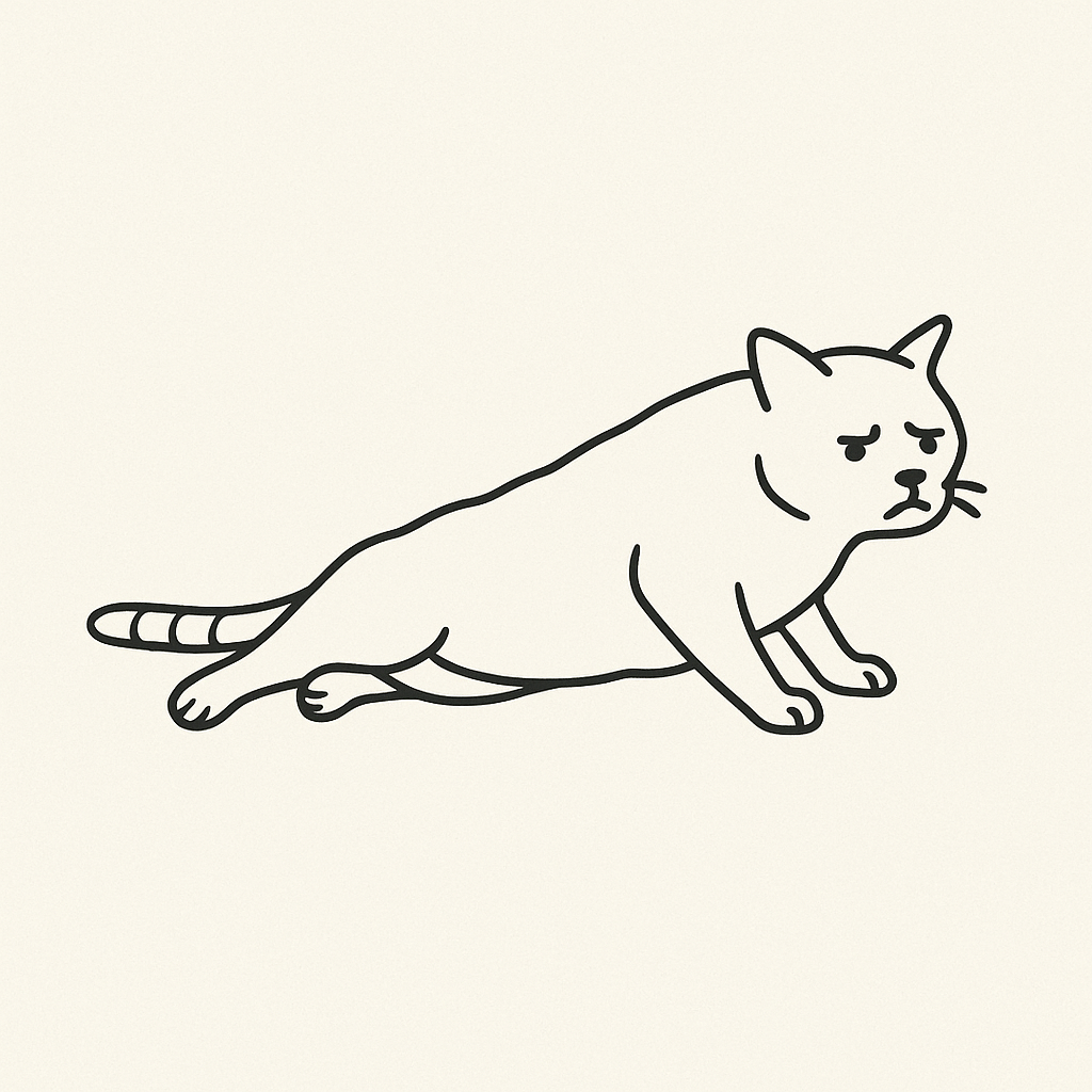 瘫痪猫咪救助